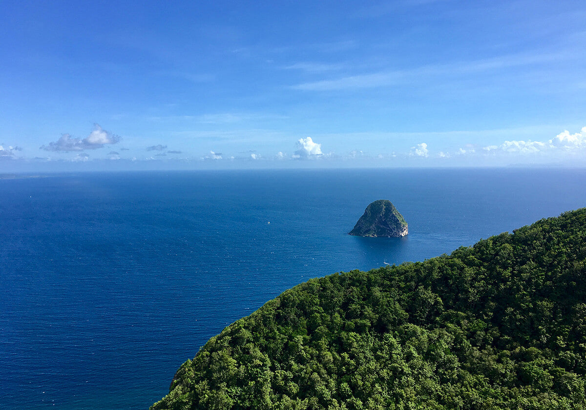 Kadalys Deliver on 12 of the United Nations Sustainable Development Goals