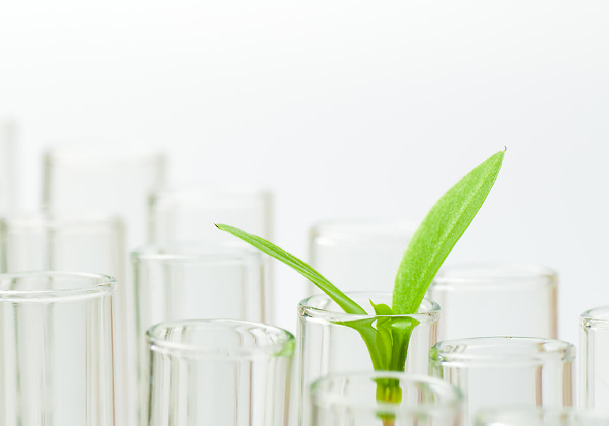 How Antioxidants Help Your Skin Glow