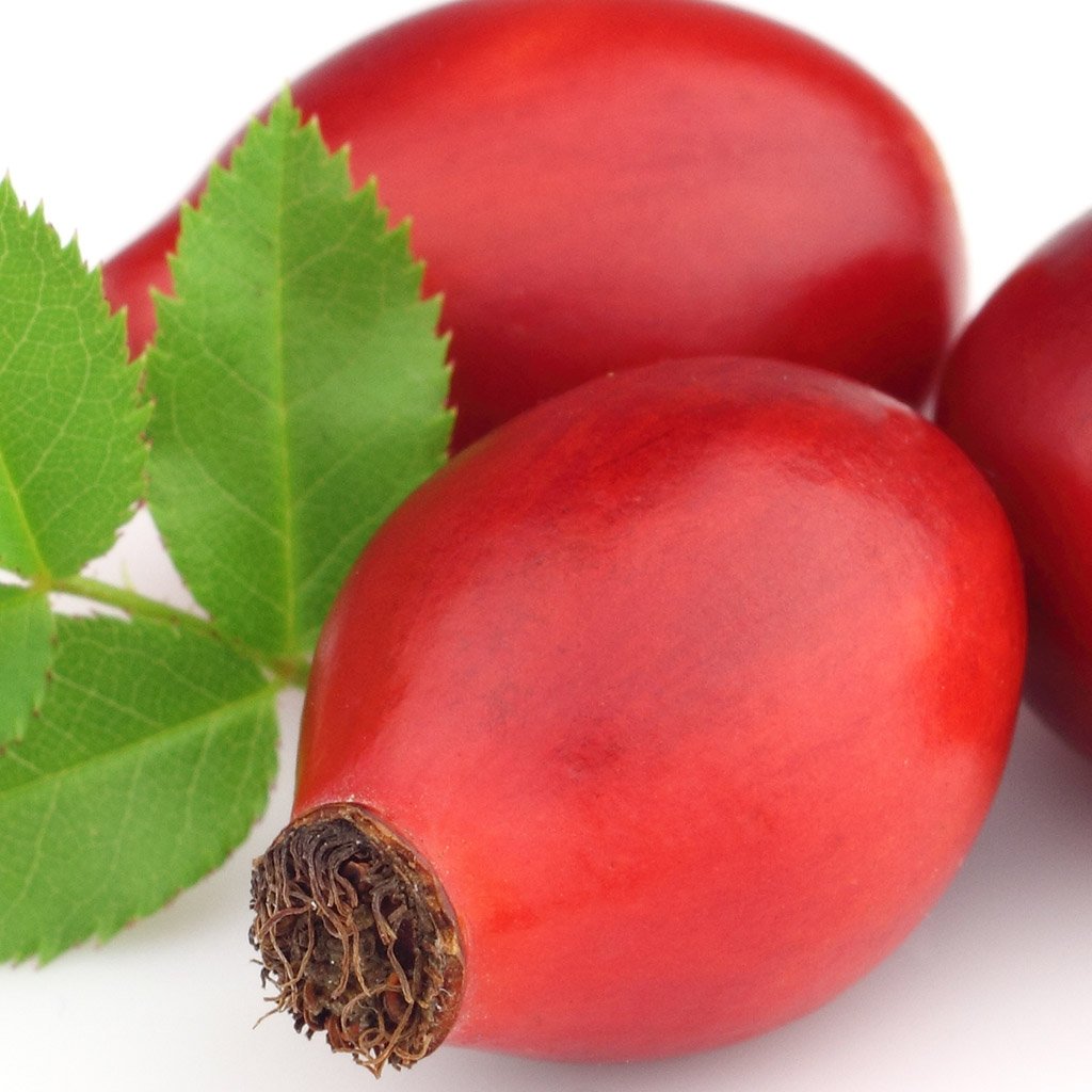 Muscat Rose Seed Oil