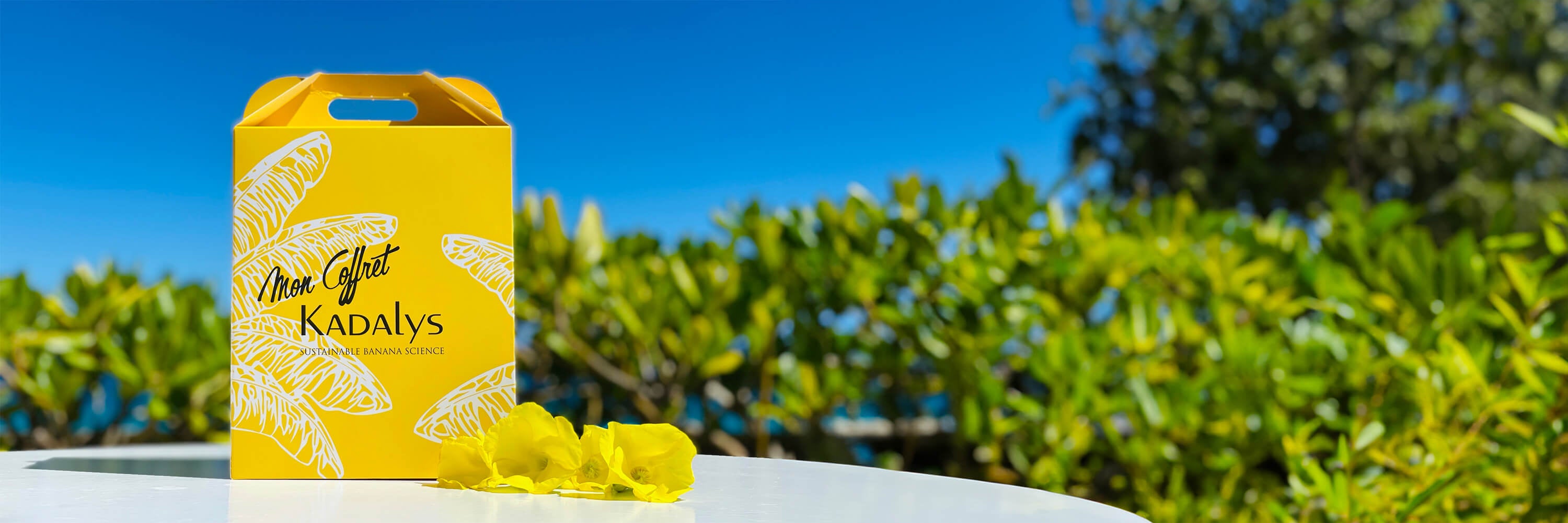 Image of yellow Kadalys gift bag in front of green hedges and blue sky | product bundles