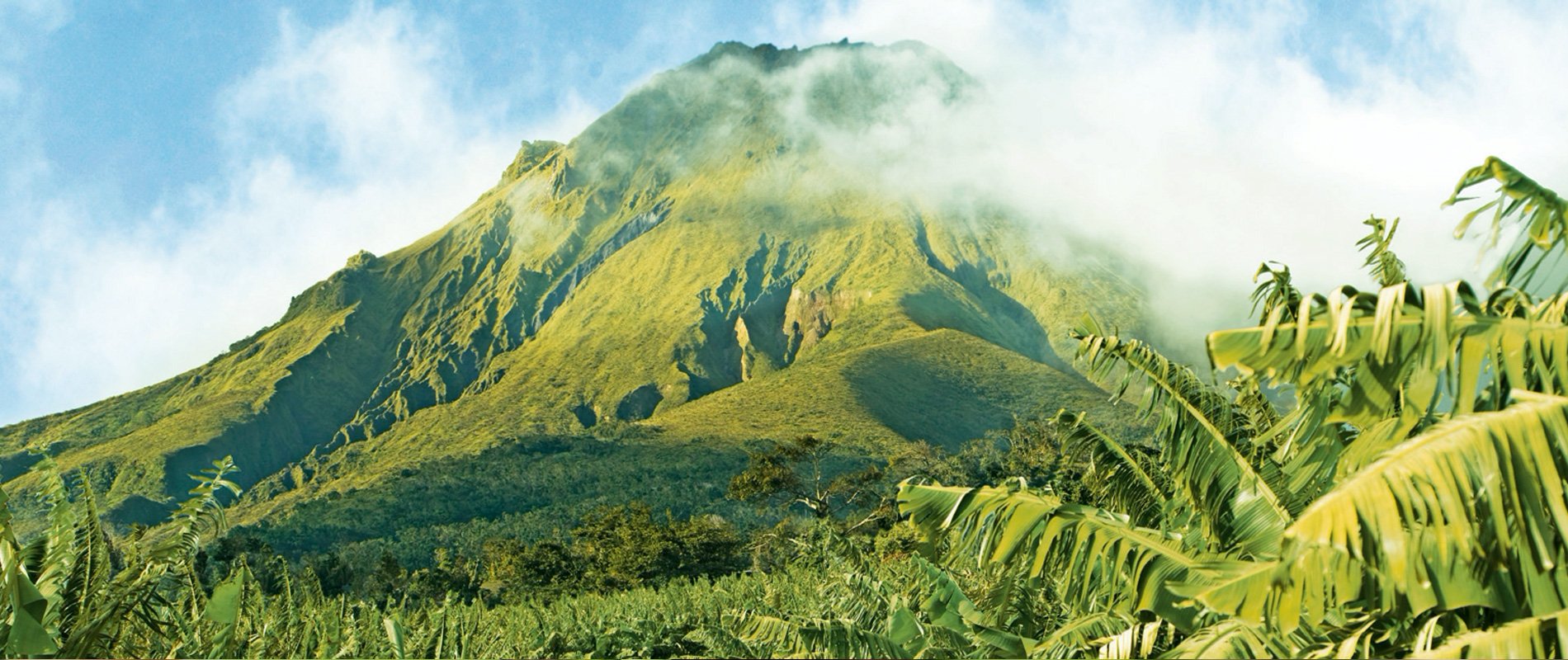 Sustainable Skincare made with Banana Science