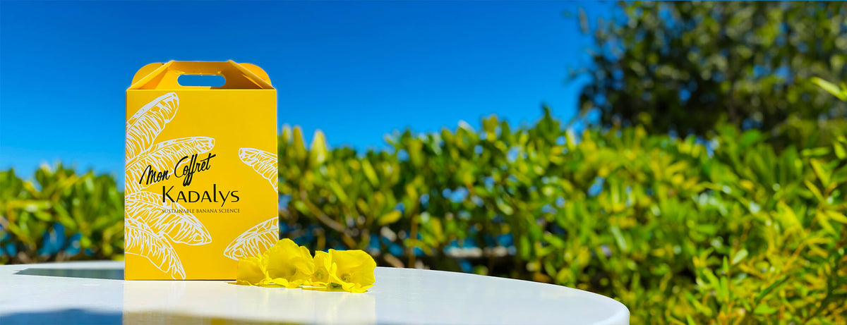 Carton Boxes packaging