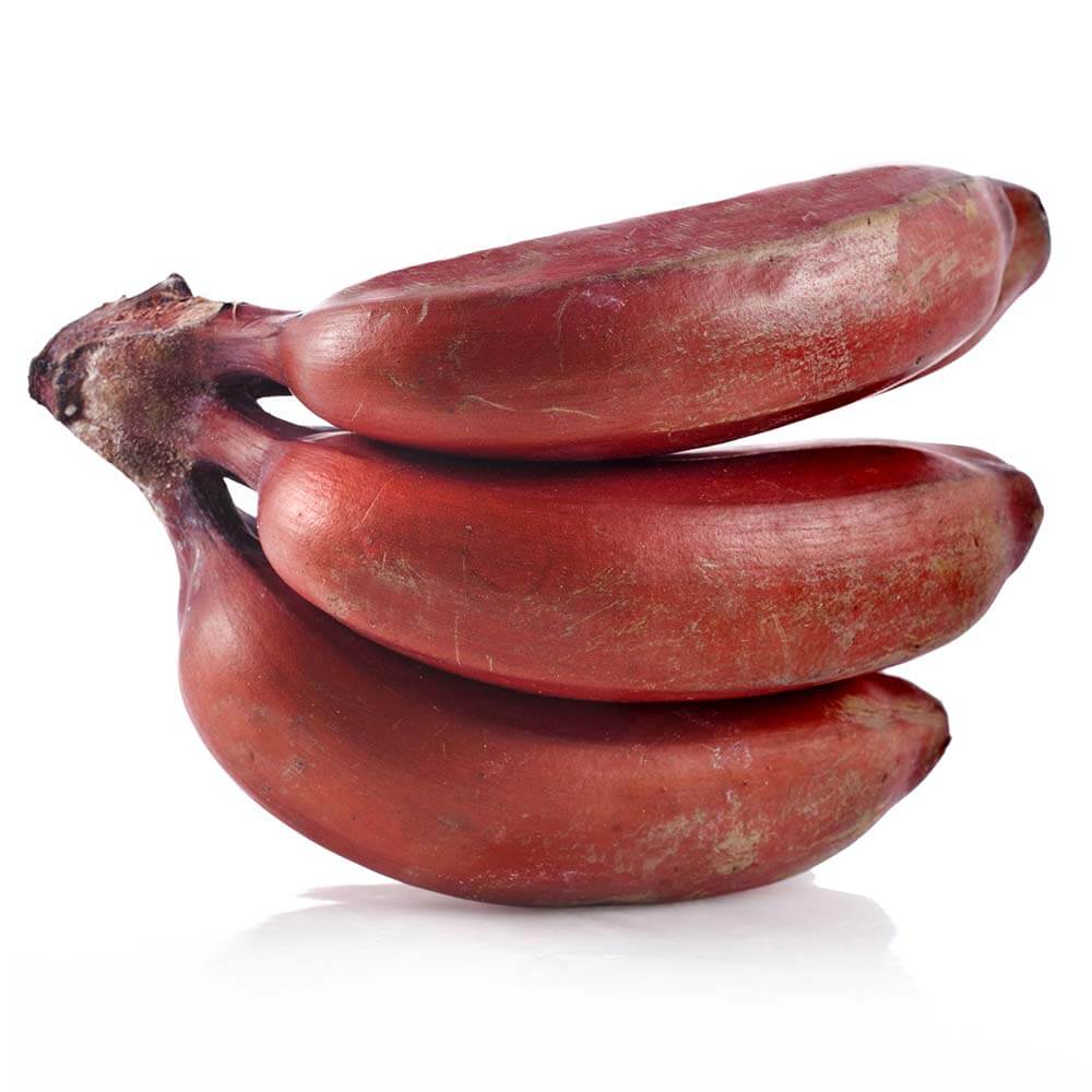 Kadalys Natural & Organic Ingredient - Pink Banana Bio-Active