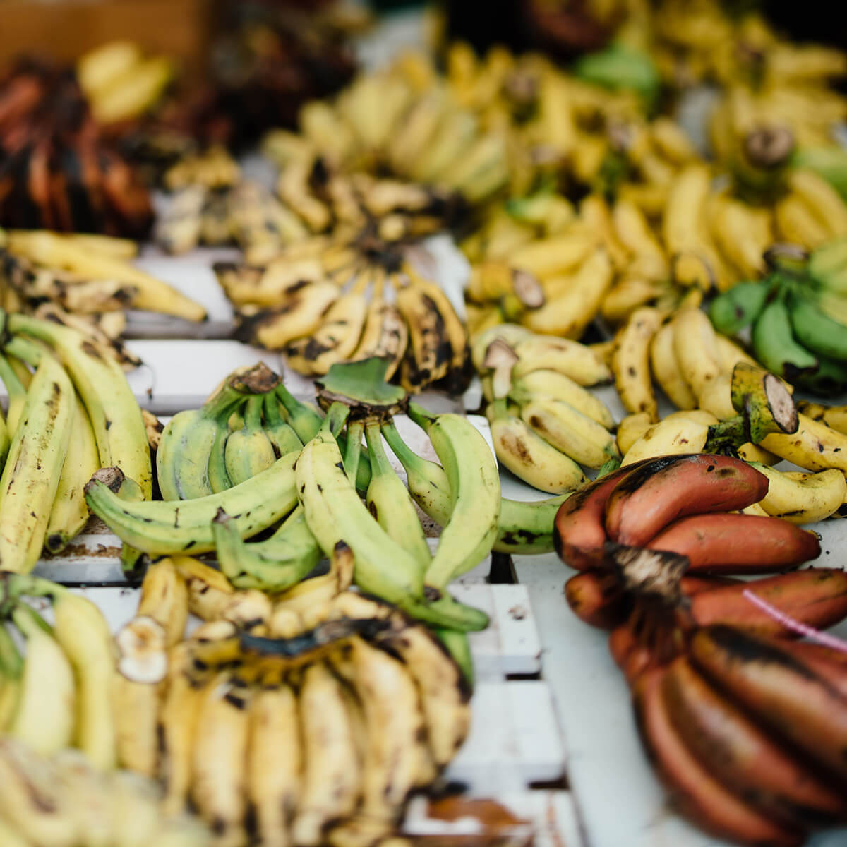 Display of green, yellow, and pink bananas