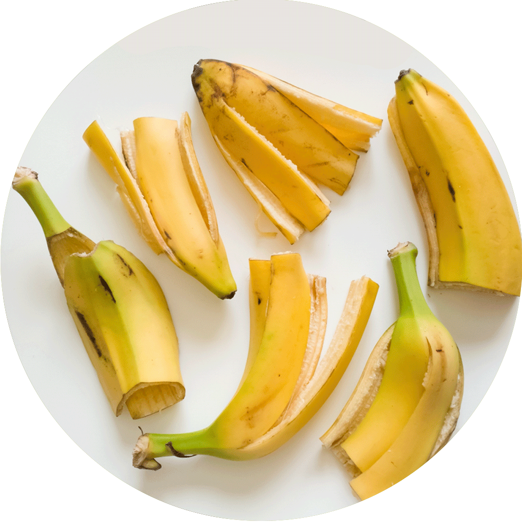 Yellow Banana Bio-actives