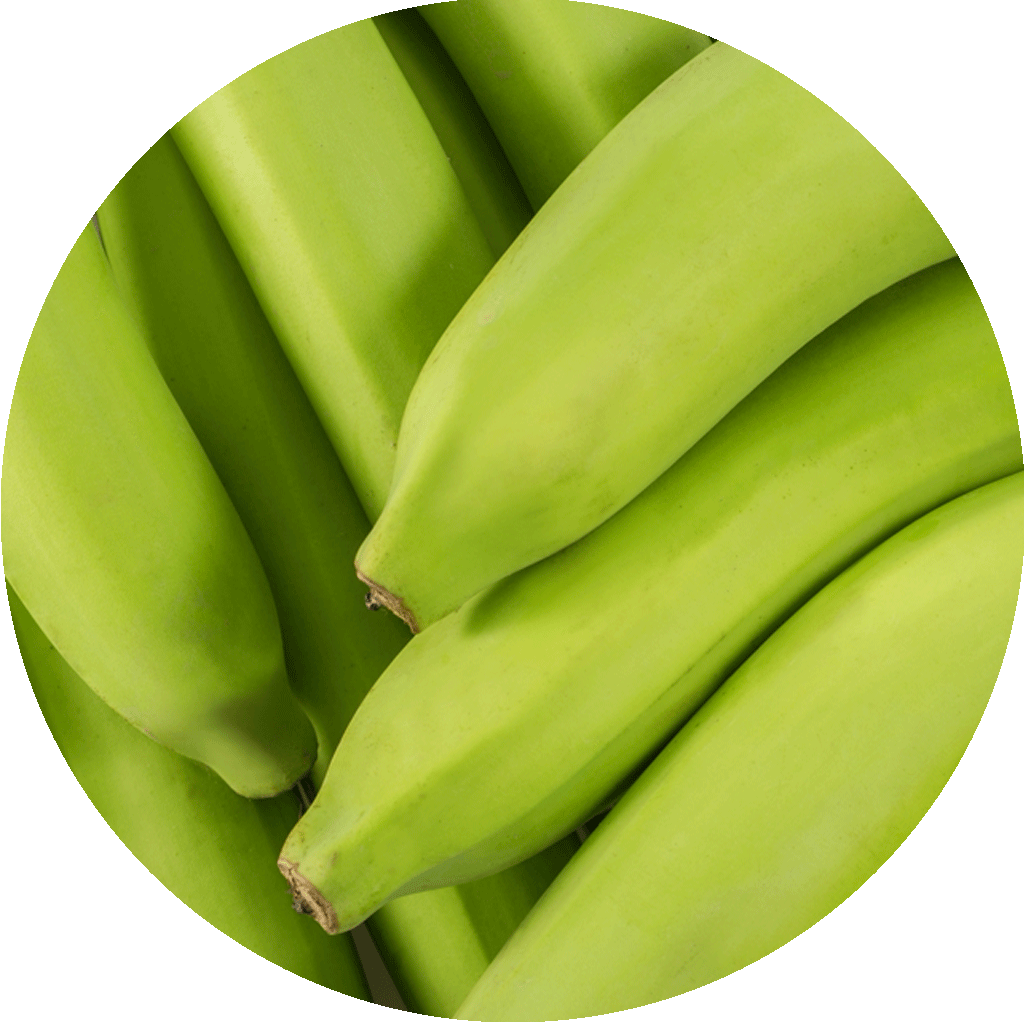 Green Banana Bio-active